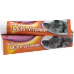 Smilla Multivitaminová pasta 50 g – Zboží Dáma