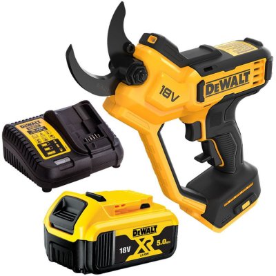 DeWALT DCMPP568P1 – Zboží Dáma