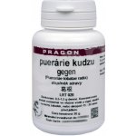 Puerálie Kudzu Gegen extrakt 20 g Pragon – Hledejceny.cz