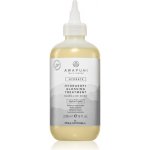 Paul Mitchell Awapuhi Wild Ginger Hydrasoft Glossing Treatment sérum pro lesk 236 ml – Hledejceny.cz