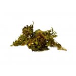 Salvia Paradise Konopí CBD Cannabis sativa nať 30 g – Zboží Dáma