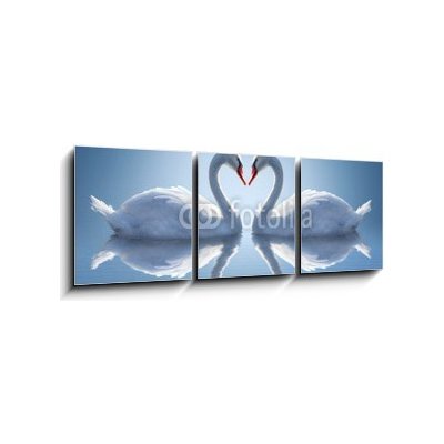 Obraz 3D třídílný - 150 x 50 cm - Romantic two swans, symbol of love. Romantické dvě labutě, symbol lásky. – Hledejceny.cz