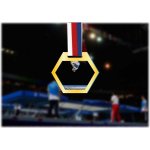 Akrylátová medaile Gymnastika trampolína Zlatá – Hledejceny.cz