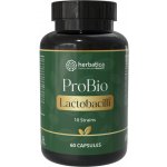 Herbatica ProBio Laktobacily 10 60 kapslí – Hledejceny.cz
