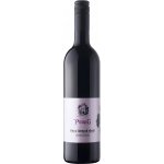 Pereg Víno z černého rybízu 2022 11% 0,75 l (láhev) – Zboží Dáma