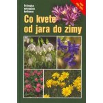 Co kvete od jara do zimy – Hledejceny.cz