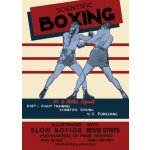 SCIENTIFIC BOXING Diet - Fight Training - K.O. Punching Anon – Hledejceny.cz