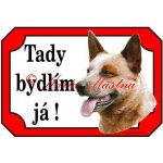 Cedulka australský honácký pes red 3 - Se samolepicí vrstvou – Sleviste.cz