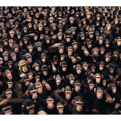 Sheen Viktor - Planeta Opic CD – Zboží Mobilmania