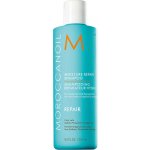 Moroccanoil Moisture Repair Shampoo 75 ml – Sleviste.cz