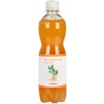 Stevikom Kombucha Bílý čaj Bio 0,5 l – Zboží Dáma