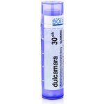 DULCAMARA POR 30CH GRA 1X4G – Hledejceny.cz