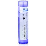 DULCAMARA POR 30CH GRA 1X4G – Hledejceny.cz