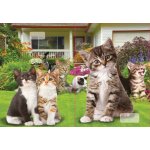 Reas Pack Sešit 544 A5 linkovaný 40l 3D MIX – Zboží Dáma