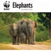 Kalendář WWF Elephants Elefanten 2024