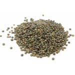 Les Fruits du Paradis Zelená čočka BIO 3000 g – Zboží Dáma