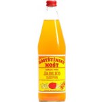 Moštárna Hostětín mošt jablko zázvor Bio 750 ml – Zboží Dáma