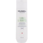 Goldwell Dualsenses Rich Repair Shampoo 250 ml – Hledejceny.cz