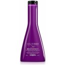 Šampon L'Oréal šampon Pro Fiber Reconstruct pro regeneraci 250 ml