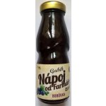Nature NoTea Gabík Ovocný nápoj Borůvka 200 ml – Sleviste.cz