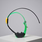 Dogtra PATHFINDER 2 – Sleviste.cz