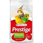 Prestige Kristal s mušlemi 5 kg – Zboží Dáma