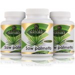 Golden Nature 2+1 Saw Palmetto 45% mastných kyselin 300 kapslí – Hledejceny.cz