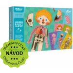 MiDeer magnetická tabulka Moje tělo – Zboží Dáma