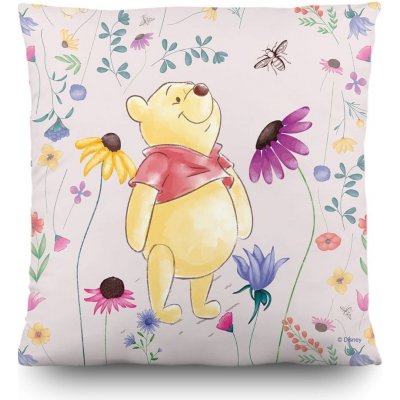 AG Design polštář CND 3131 Disney Medvídek Pú 40x40 – Zbozi.Blesk.cz