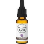 Bachovy květové esence Sebedůvěra Self Confidence 20 ml – Hledejceny.cz