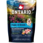 Ontario Puppy & Junior All Breeds Monoprotein Turkey & Sweet Potatoes 0,1 kg – Hledejceny.cz