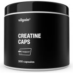 Vilgain Creatine Creapure 300 g – Zboží Dáma