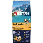 Ontario Adult Medium 7 Fish & Rice 2 x 12 kg – Hledejceny.cz