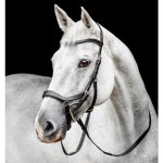 Horseware Micklem 2 Competition černá – Hledejceny.cz