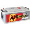 Banner Buffalo Bull SHD 12V 170Ah 1000A SHD670 33