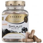 Golden Nature Exclusive Shilajit 100 kapslí – Hledejceny.cz