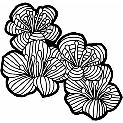 Šablona TCW 12"x12" (30,5x30,5 cm) - Hawthorn Flowers – Sleviste.cz
