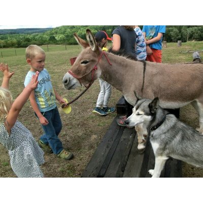 Rodinná exkurze na farmě – Hledejceny.cz