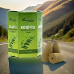 Aromatika Vonné kužele Tekoucí dým Eukalyptus 10 ks – Zboží Dáma