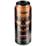 USN Qhush Energy drink Ginger 0,5 l – Zbozi.Blesk.cz