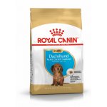 Royal Canin Dachshund Puppy 1,5 kg – Hledejceny.cz