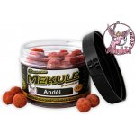 Carp Servis Václavík Boilies Měkule Feeder 100 g 12 mm – Hledejceny.cz