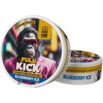 Aroma King Full Kick blueberry ice 20 mg/g 25 sáčků – Zbozi.Blesk.cz