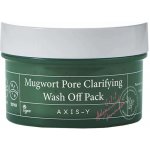 Axis y Mugwort Pore Clarifying Wash Off Pack 100 ml – Hledejceny.cz
