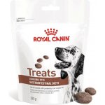 Royal Canin Dog Gastrointestinal Treats 230 g – Sleviste.cz