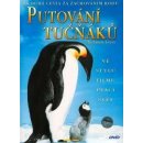 Putování tučňáků DVD