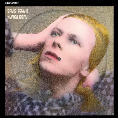 Bowie David - Hunky Dory Picture LP – Hledejceny.cz