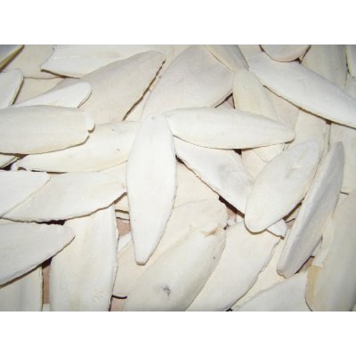 Zagers Vogelvoeders Sépiová kost pravá 11 cm 20 ks – Sleviste.cz