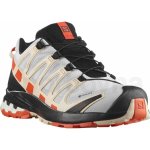 Salomon XA Pro 3D V8 Gtx W lunar rock/cherry tomato/sun kiss – Hledejceny.cz