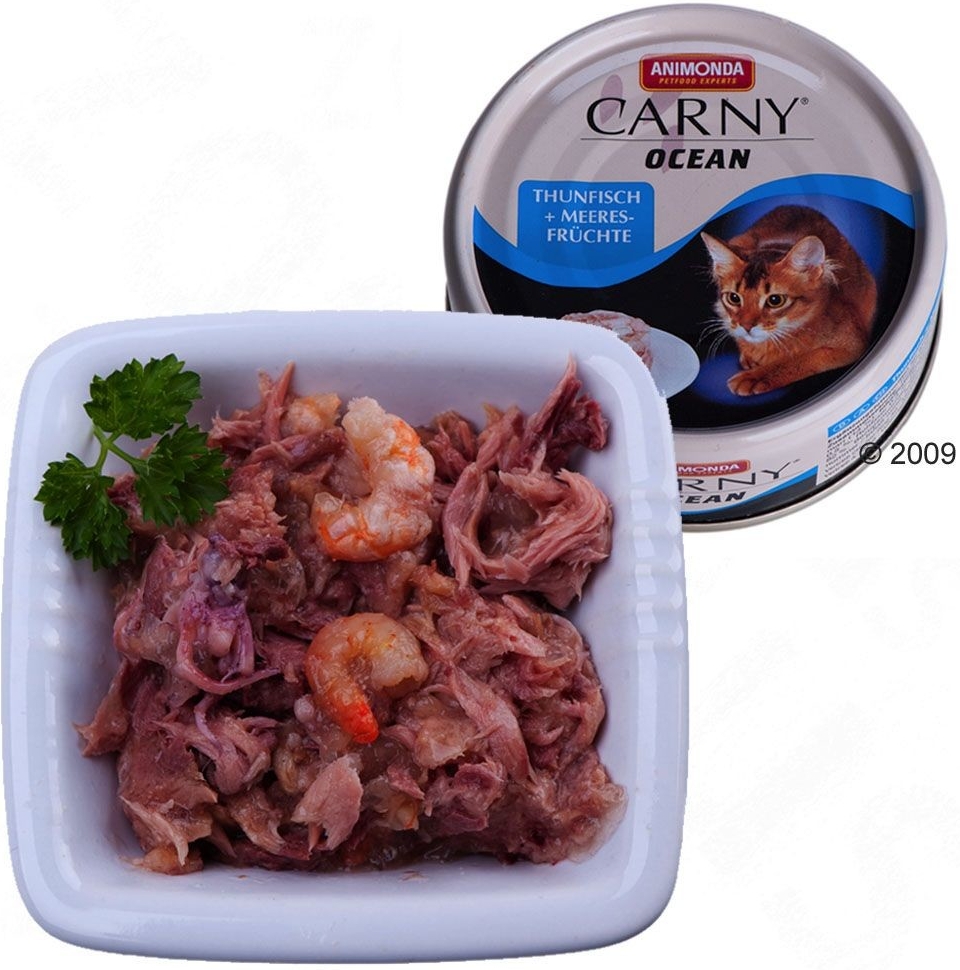 Carny Ocean losos & sardinky 80 g